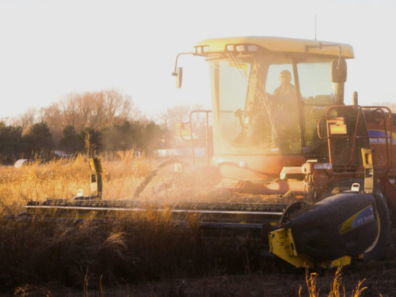 Investitionen Land- und Forstflächen
