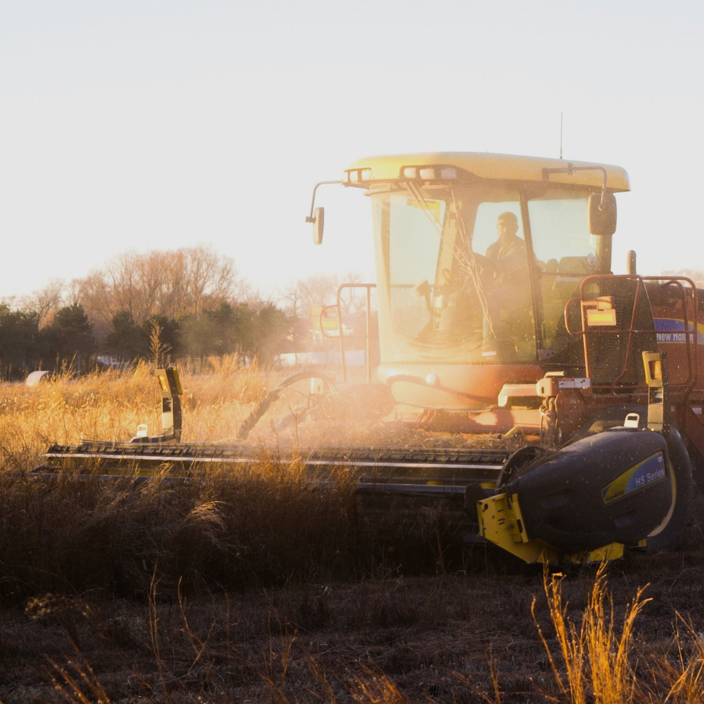 Investitionen Land- und Forstflächen