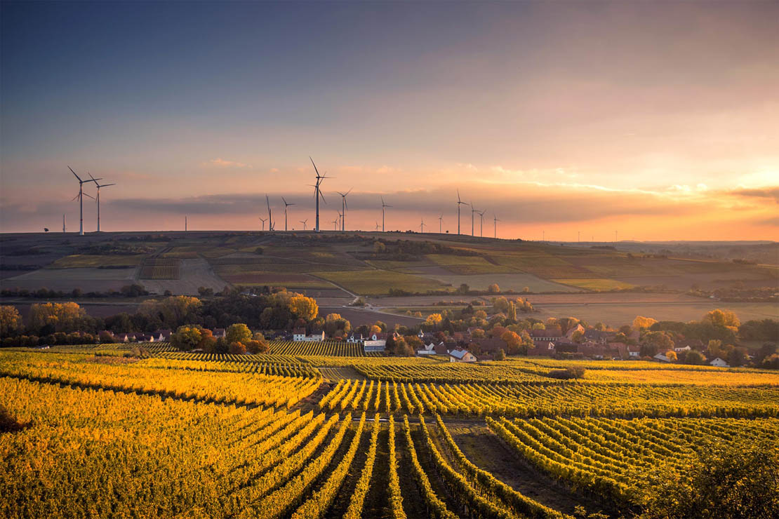 Felder im Sonnenuntergang mit Windrädern