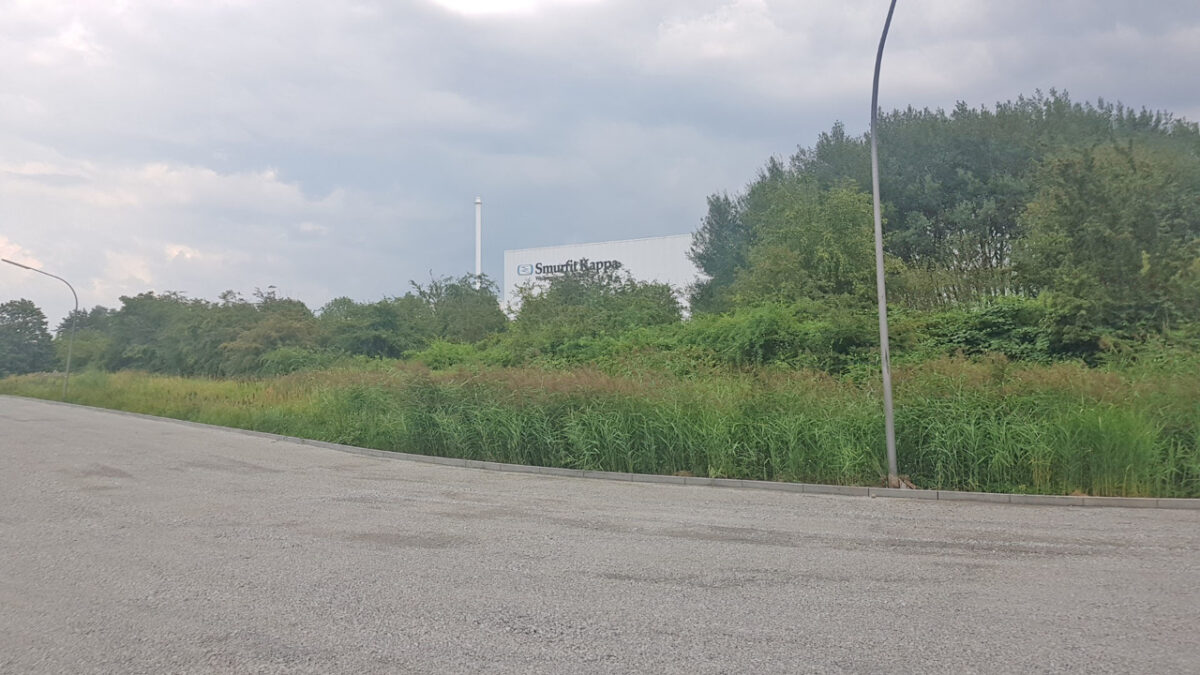 Großzügiges Grundstück