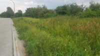 Viel Platz