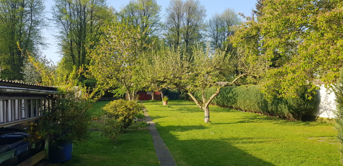 Traumhafter Garten