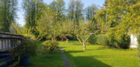 Traumhafter Garten