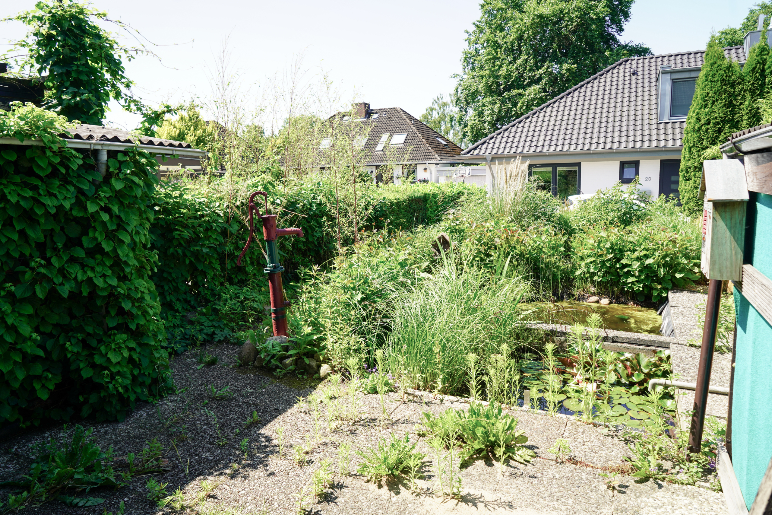 Garten mit Teich